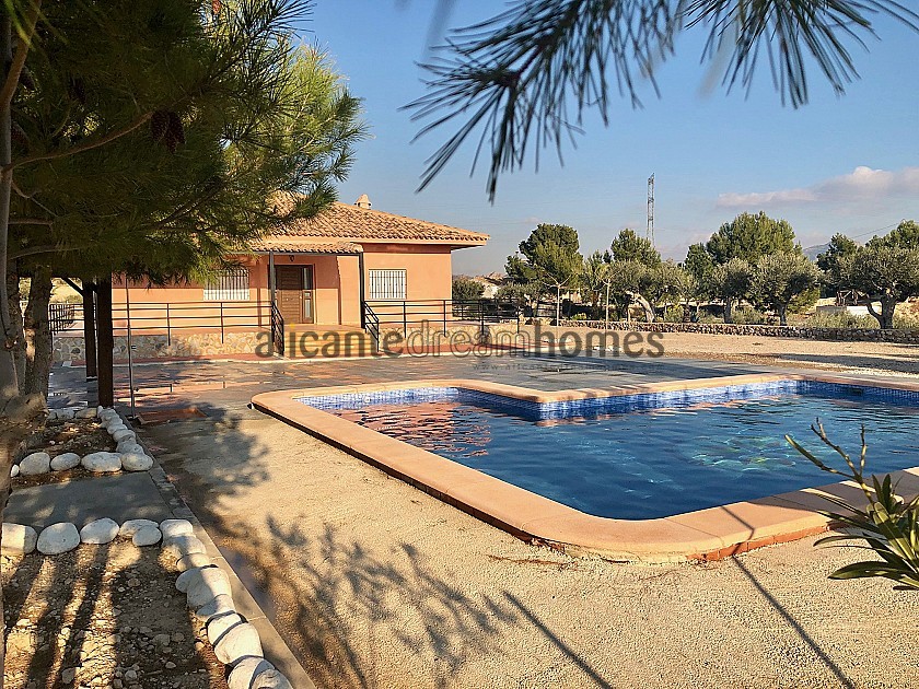 Large New Build Villa with swimming pool in Alicante Dream Homes