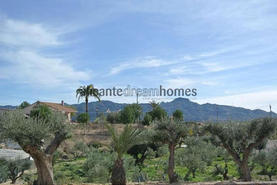 Large New Build Villa with swimming pool in Alicante Dream Homes