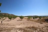 Landhuis met 100.000M2 olijven en amandelen in Alicante Dream Homes API 1122