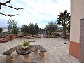 Amazing fully reformed country house in Salinas (near Sax) in Alicante Dream Homes API 1122