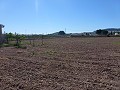 Aspe, Grundstück zu verkaufen! - Baugrundstücke zum Verkauf in Aspe, Alicante | Alicante, Aspe in Alicante Dream Homes API 1122