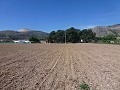 Aspe, terrain à vendre ! - Terrains à bâtir à vendre à Aspe, Alicante | Alicante, Aspé in Alicante Dream Homes API 1122
