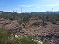 Urban Land for sale - Building Plots for sale in Macisvenda, Murcia | Alicante, Macisvenda in Alicante Dream Homes API 1122