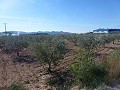 Stedelijke grond te koop - Bouwpercelen te koop in Macisvenda, Murcia | Alicante, Macisvenda in Alicante Dream Homes API 1122
