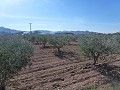 Stedelijke grond te koop - Bouwpercelen te koop in Macisvenda, Murcia | Alicante, Macisvenda in Alicante Dream Homes API 1122