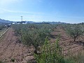 Terrain Urbain à vendre - Terrains à bâtir à vendre à Macisvenda, Murcie | Alicante, Macisvenda in Alicante Dream Homes API 1122