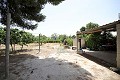 Maison de campagne indépendante avec piscine proche de la ville in Alicante Dream Homes API 1122