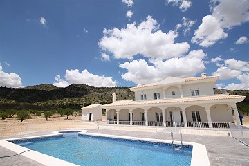 Luxury New Villa with pool and plot