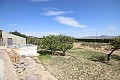 Freistehendes Landhaus in der Nähe von Monovar mit toller Aussicht in Alicante Dream Homes API 1122