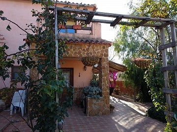 Pinoso house