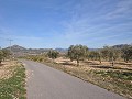 15,000m2 de terreno edificable en Salinas con agua - electricidad cerca in Alicante Dream Homes API 1122