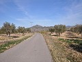 15,000m2 of building land in Salinas with water - electric close in Alicante Dream Homes API 1122