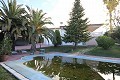 Grote vrijstaande villa met zwembad in Loma Bada, Alicante in Alicante Dream Homes API 1122