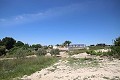 Gran Casa de Campo con negocio de mármol y plantación de uva in Alicante Dream Homes API 1122