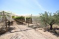 Large Country House with marble business and grape plantation in Alicante Dream Homes API 1122