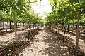 Großes Landhaus mit Marmorgeschäft und Weinplantage in Alicante Dream Homes API 1122