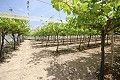 Groot landhuis met marmeren bedrijf en druivenplantage in Alicante Dream Homes API 1122