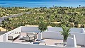 Neue Penthäuser in Guardamar del Segura, 2 Schlafzimmer, 2 Bäder, Gemeinschaftspool. Nur 5 Minuten vom Strand entfernt in Alicante Dream Homes API 1122