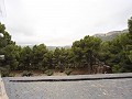 Großes rustikales Haus in einem Nationalpark mit Schieferdach. in Alicante Dream Homes API 1122