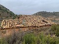 Parcelle avec ruines à La Carche, Jumilla in Alicante Dream Homes API 1122
