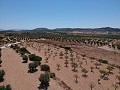 Bouwgrond met water, elektriciteit en bomen in Alicante Dream Homes API 1122