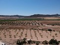 Terrain à bâtir avec eau, électricité et arbres in Alicante Dream Homes API 1122