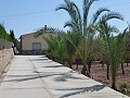 Detached Villa with Private Pool  in Alicante Dream Homes API 1122