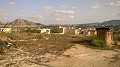 12,441m2 Finca in Raiguero de Bonanza, Orihuela in Alicante Dream Homes