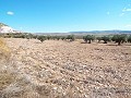 10,500m2 Plot of Land with mains water in Alicante Dream Homes API 1122