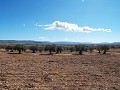 10,500m2 Plot of Land with mains water in Alicante Dream Homes API 1122