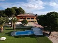 Gran chalet independiente con piscina cerca del pueblo en Elda-Petrer in Alicante Dream Homes API 1122