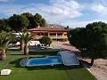 Large Detached Villa with a pool close to town in Elda-Petrer in Alicante Dream Homes API 1122