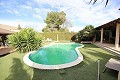 Große luxuriöse freistehende Villa Loma Bada, Alicante in Alicante Dream Homes API 1122