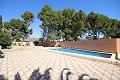 Stunning Detached Villa with a second house, walking distance to Monovar in Alicante Dream Homes API 1122