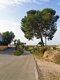 Lovely Villa in Ricabacica, Abanilla + olive grove in Partidor in Alicante Dream Homes