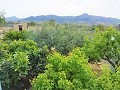 Preciosa Villa en Ricabacica, Abanilla + olivar en Partidor in Alicante Dream Homes API 1122