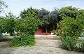 Belle Villa à Ricabacica, Abanilla + oliveraie à Partidor in Alicante Dream Homes API 1122