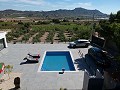 Preciosa villa independiente moderna con vistas en Aspe in Alicante Dream Homes API 1122