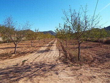 Terrain à bâtir à Hondon De Las Nieves