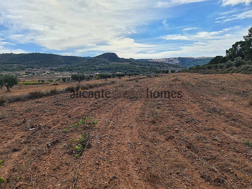 Land in Pinoso in Alicante Dream Homes