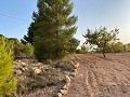Plot of land with stunning views  in Alicante Dream Homes API 1122