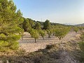 Plot of land with stunning views  in Alicante Dream Homes API 1122
