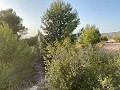 Grundstück mit atemberaubender Aussicht in Alicante Dream Homes API 1122