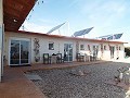 Villa Ecológica en Aspe in Alicante Dream Homes API 1122