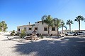 Large Detached Villa with 7 beds in Catral in Alicante Dream Homes API 1122