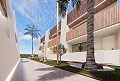 Increíble propiedad de playa de nueva construcción in Alicante Dream Homes API 1122