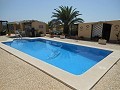Stunning 3 Bed 2 Bath Villa 3km to Pinoso in Alicante Dream Homes