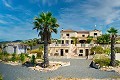 Stunning 7 Bedroom Villa with Pool in Barbarroja in Alicante Dream Homes API 1122