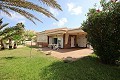 Detached Villa front line beach in La Manga in Alicante Dream Homes API 1122
