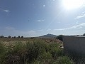 Baugrundstück in Salinas in Alicante Dream Homes API 1122